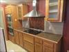 Euro range hood and counter top range