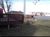 Rear Yard.  Fully fenced in.  