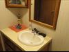 Bath 2 Vanity