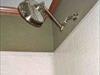 Rainbird shower head